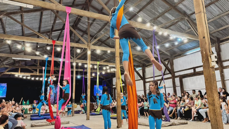 MUESTRA ANUAL DEL TALLER DE ACROBACIAS EN TELAS