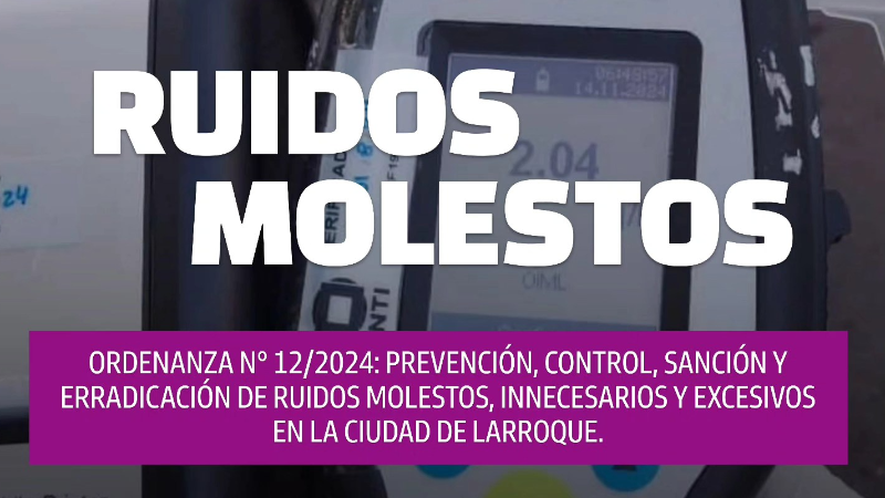 ORDENANZA Nº 12/2024: PREVENCIÓN, CONTROL, SANCIÓN Y ERRADICACIÓN DE RUIDOS MOLESTOS, INNECESARIOS Y EXCESIVOS EN LA CIUDAD DE LARROQUE.